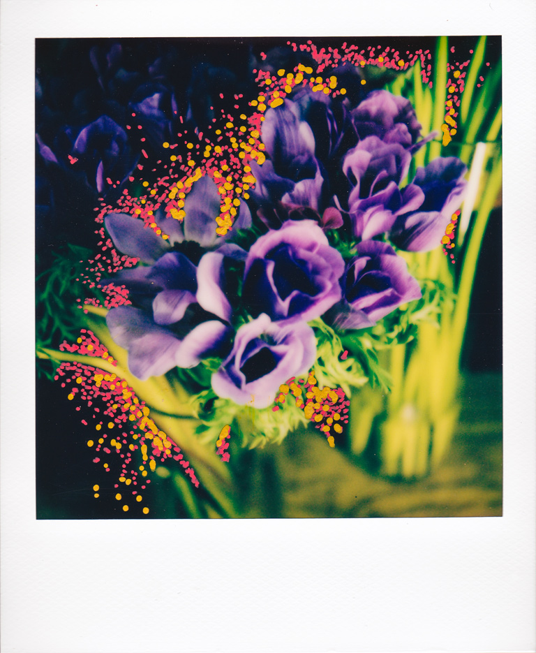 Flower-Polaroid10