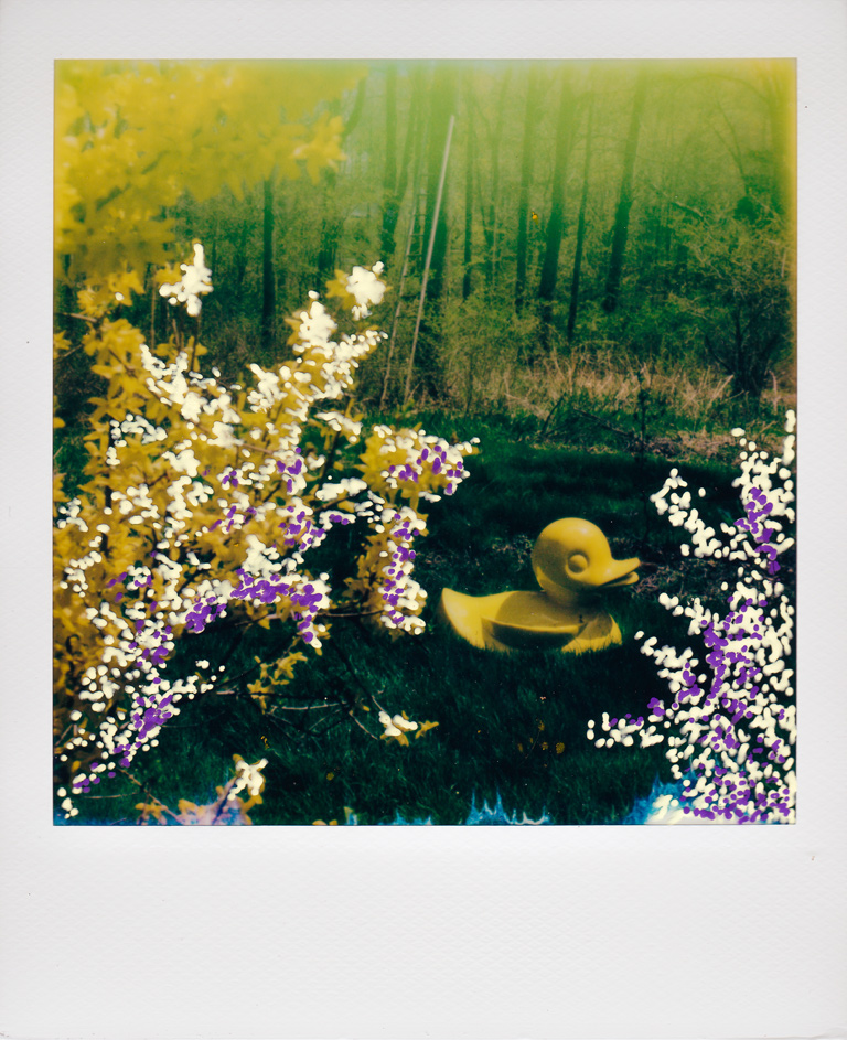 Flower-Polaroid11