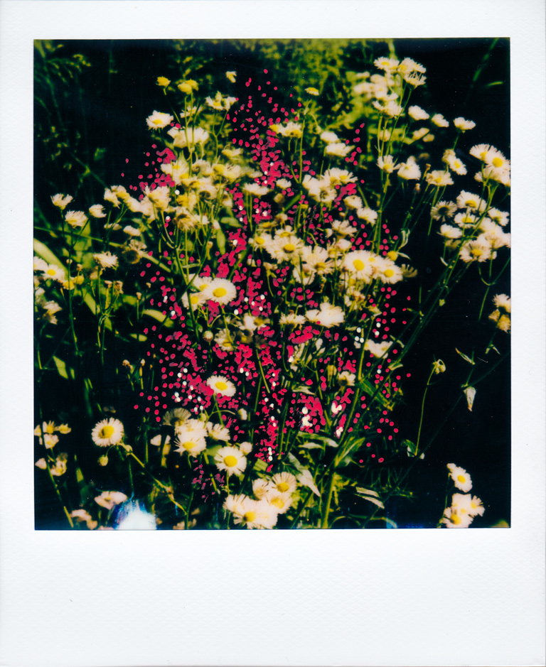 Flower-Polaroid3