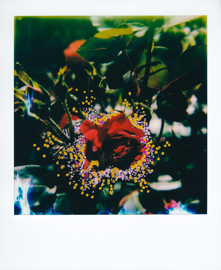 Flower-Polaroid7