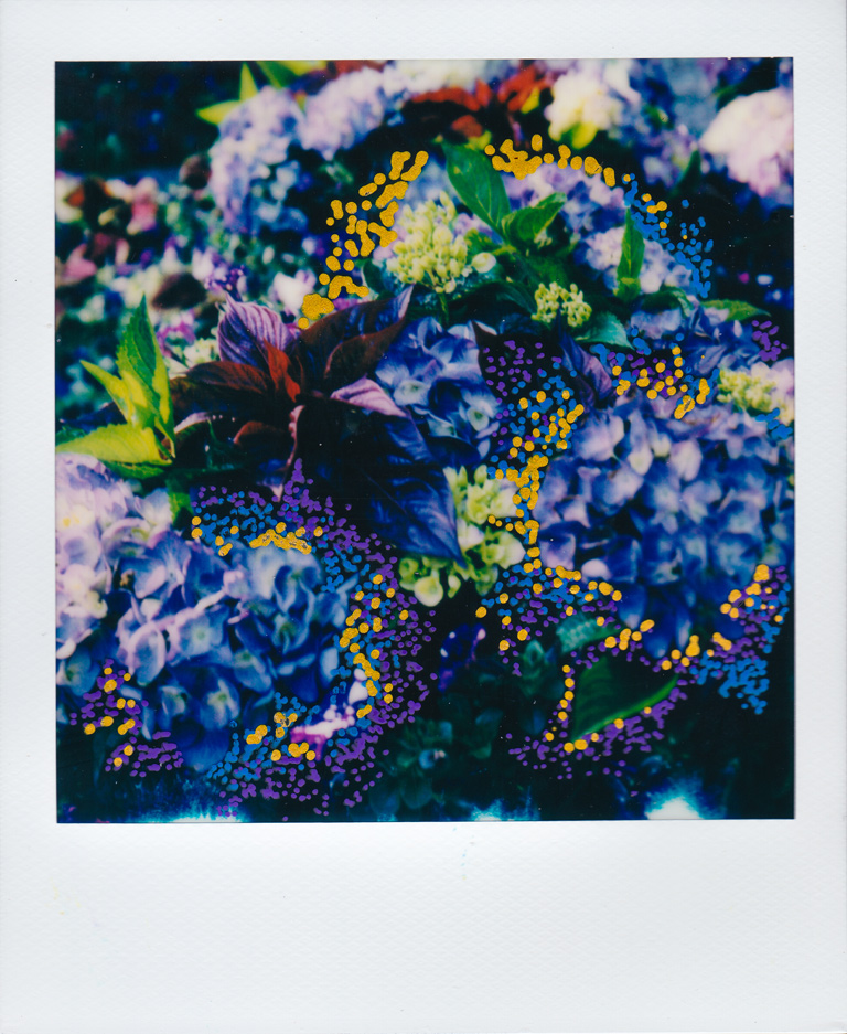 Flower-Polaroid8