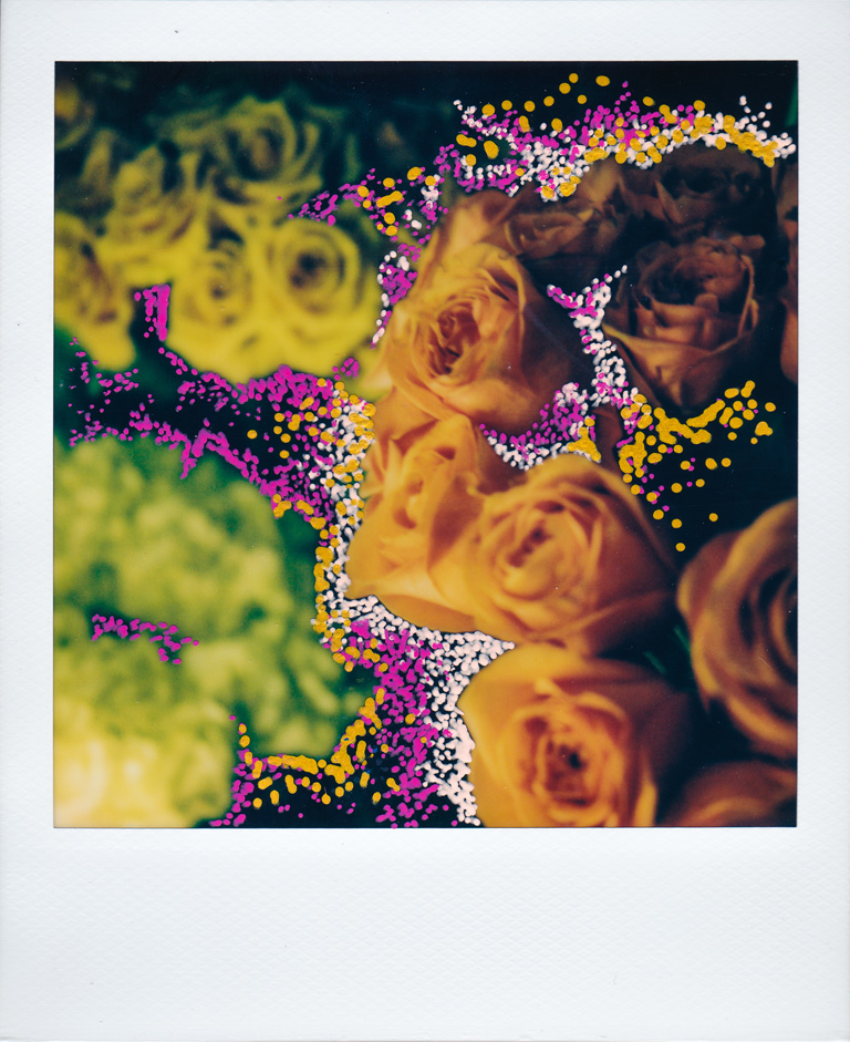 Flower-Polaroid9