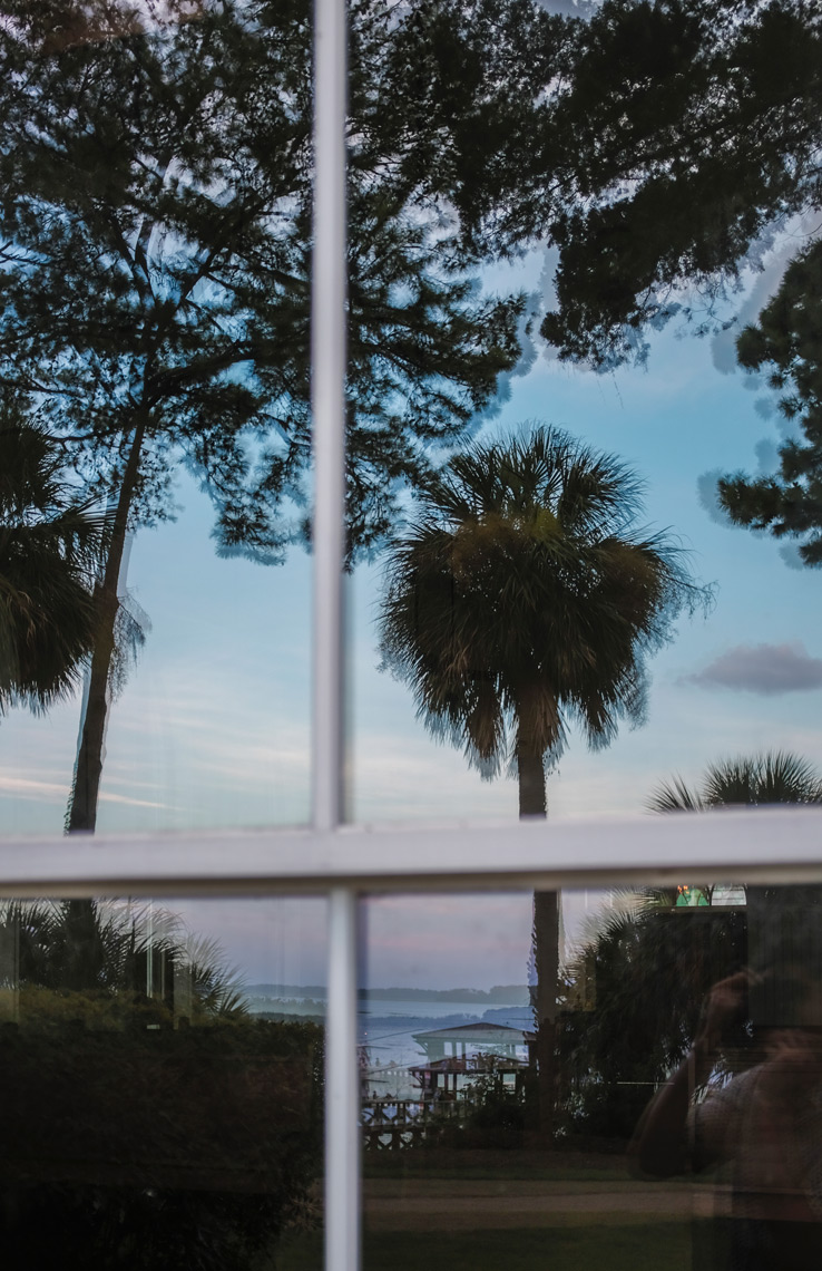 Palmetto-3