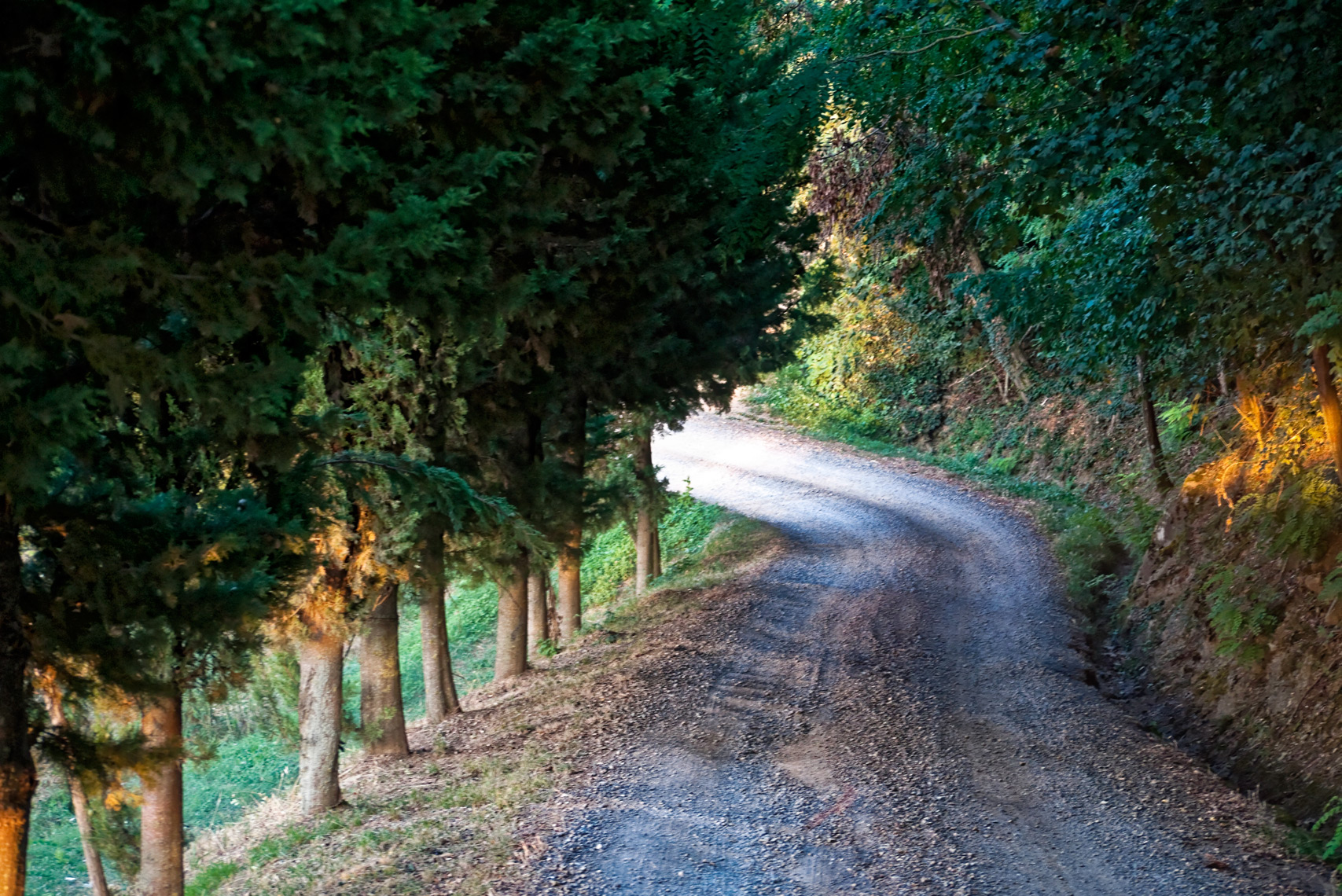 Tuscany3